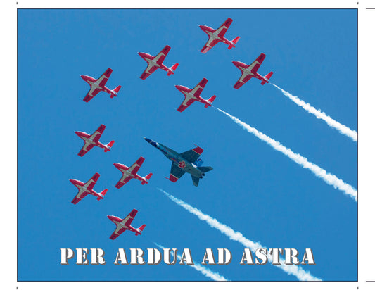 SnowBirds